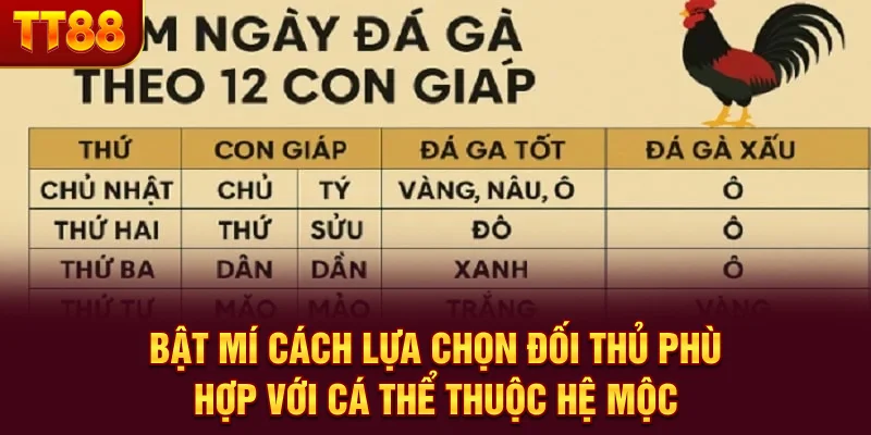 Bật mí cách lựa chọn đối thủ phù hợp với cá thể thuộc hệ Mộc