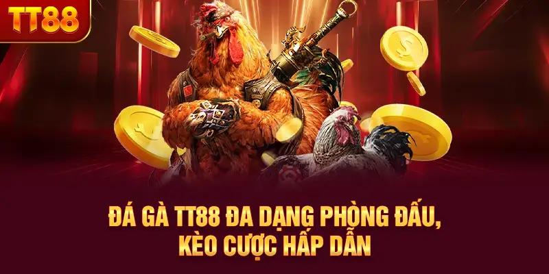 Đá gà TT88 đa dạng phòng đấu, kèo cược hấp dẫn
